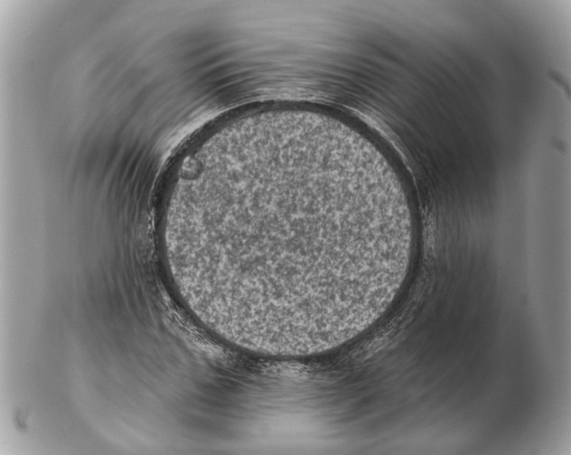 X0000102460971200809051306