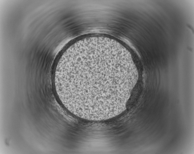 X0000102460972200809051306