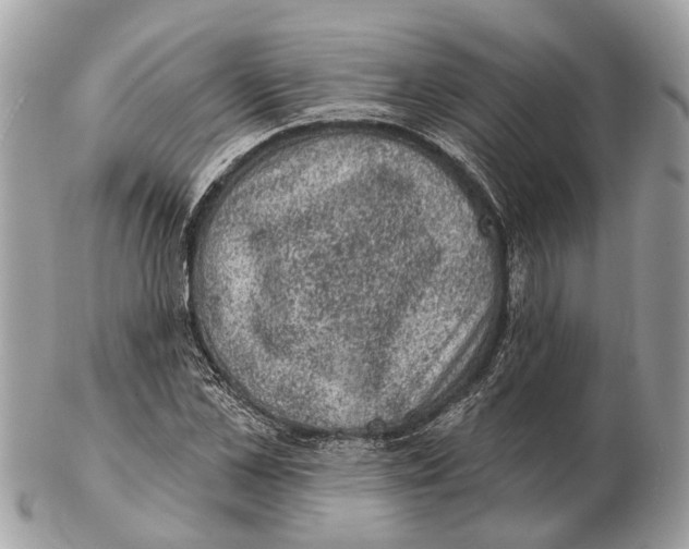 X0000102460973200809051306