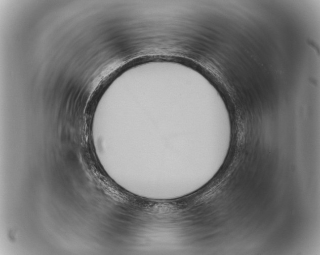 X0000102460974200809051306