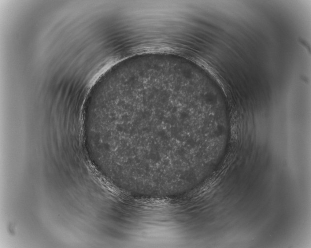X0000102460975200809051306