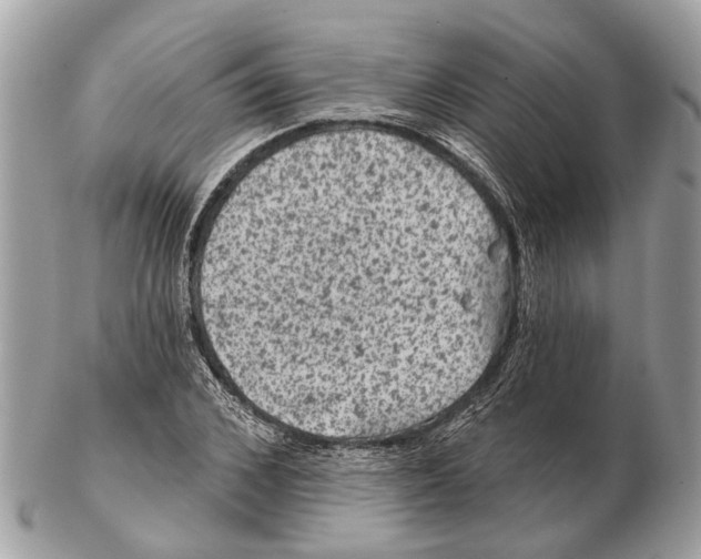 X0000102460976200809051306