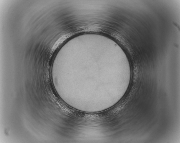 X0000102460978200809051306