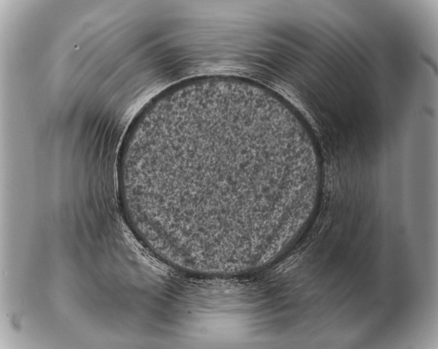X0000102460980200809051306