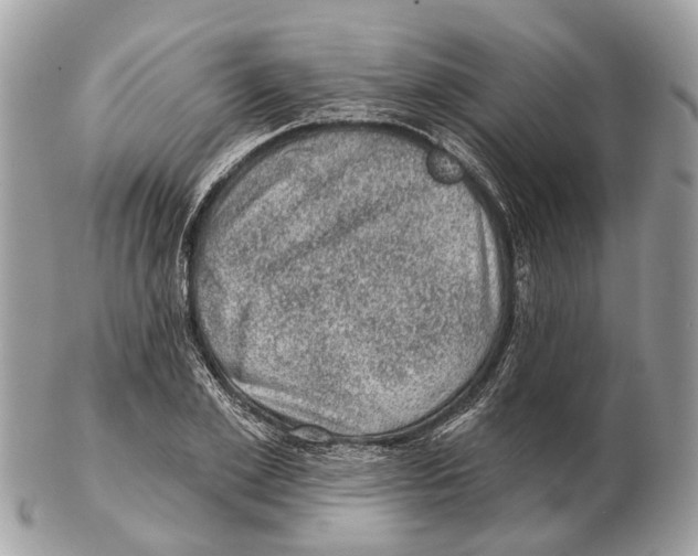 X0000102460981200809051306