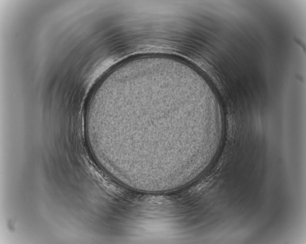 X0000102460982200809051306