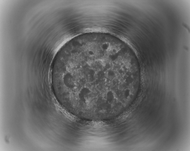 X0000102460983200809051306