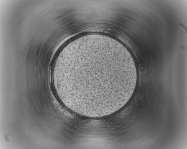 X0000102460984200809051306
