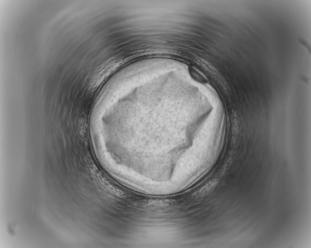 X0000102460985200809051306