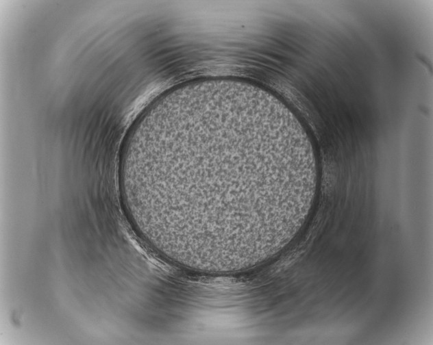 X0000102460986200809051306