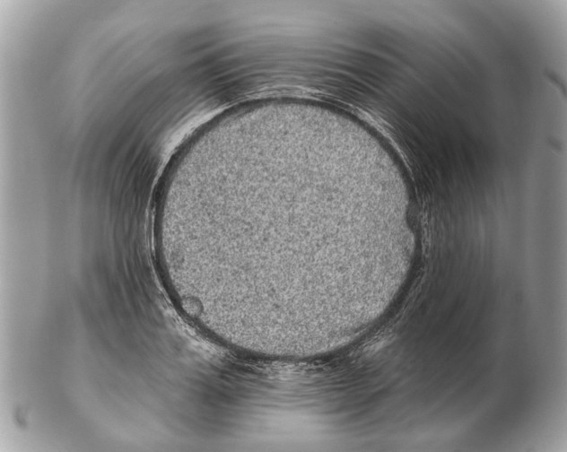 X0000102460987200809051306