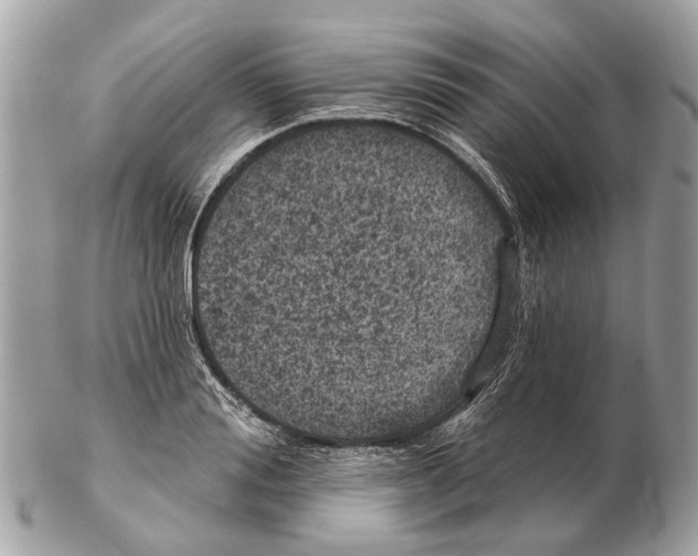 X0000102460988200809051306