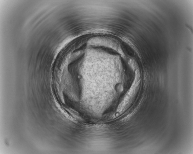 X0000102460989200809051306