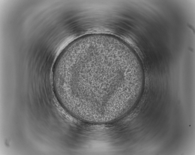 X0000102460990200809051306