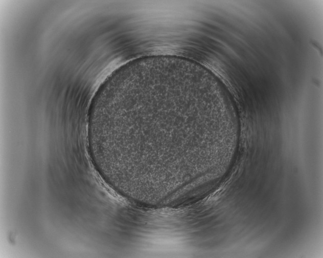 X0000102460992200809051305