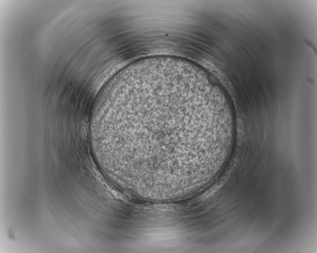 X0000102460993200809051305