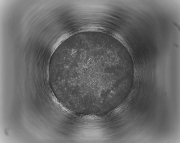X0000102460994200809051305