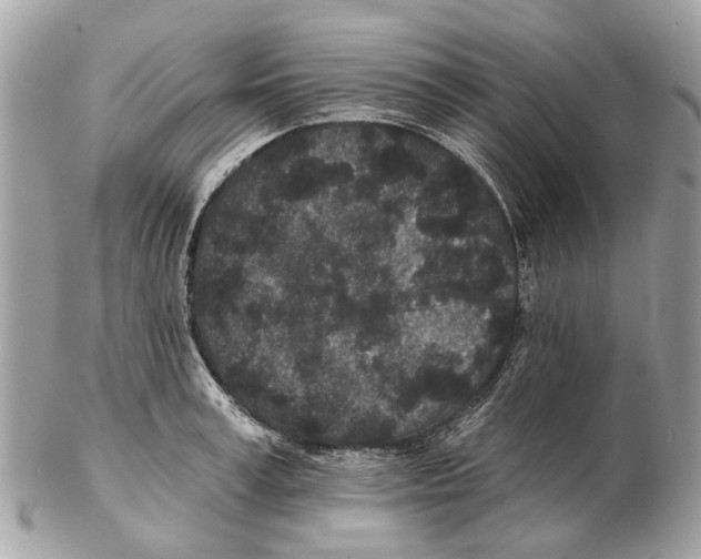 X0000102460995200809051305