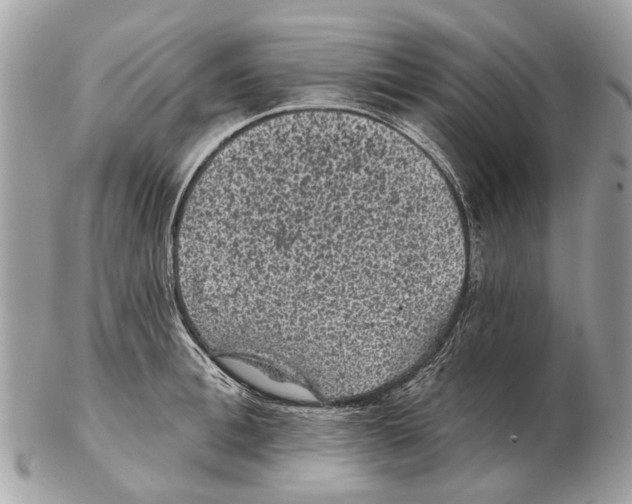 X0000102460996200809051305