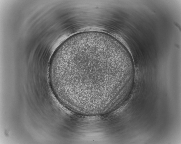 X0000102460997200809051305