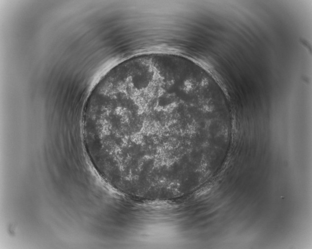 X0000102460998200809051305