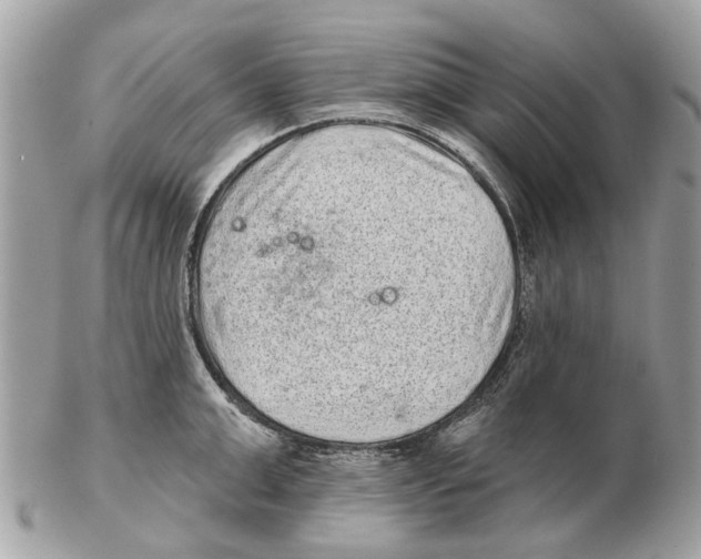 X0000102460999200809051305
