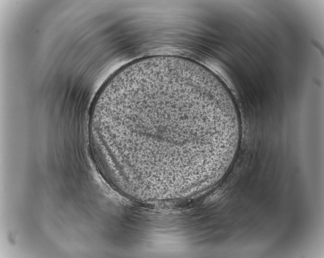 X0000102461000200809051305