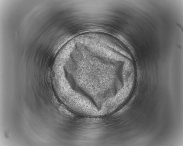 X0000102461001200809051305