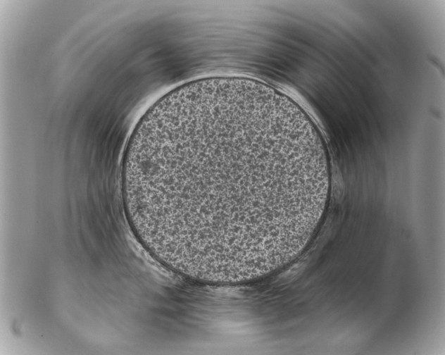 X0000102461004200809051305