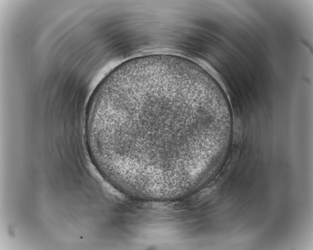X0000102461005200809051305
