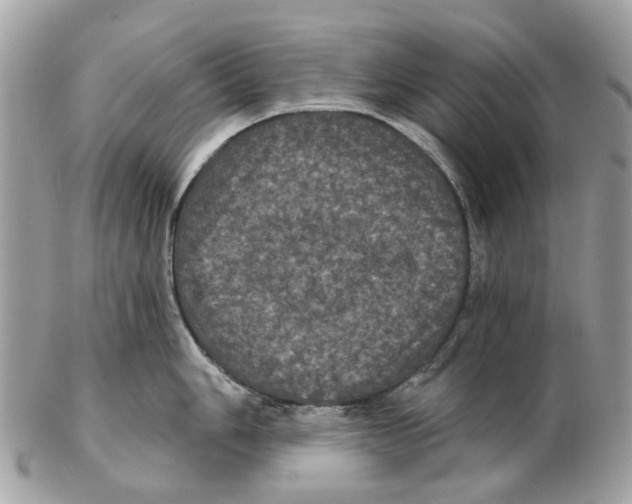 X0000102461006200809051305