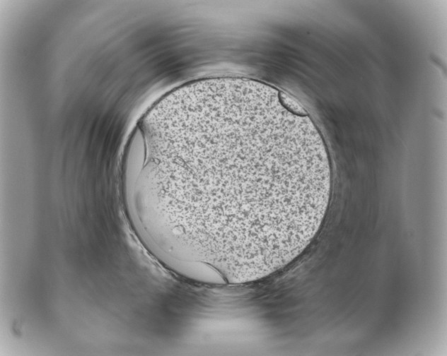 X0000102461008200809051305