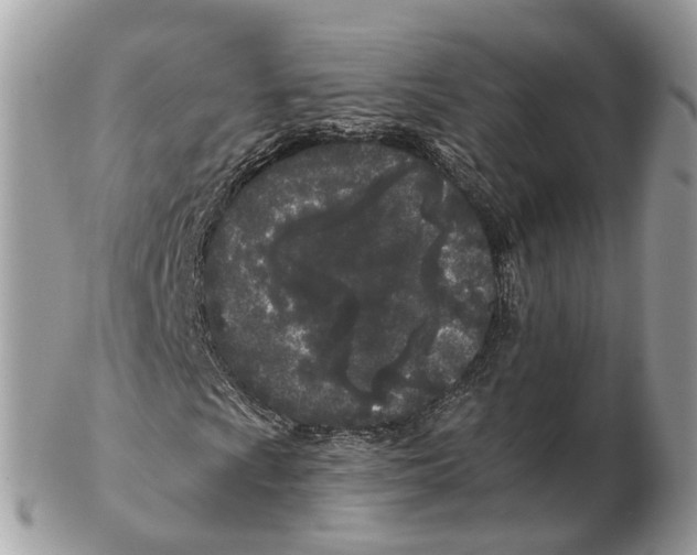X0000102461009200809051305