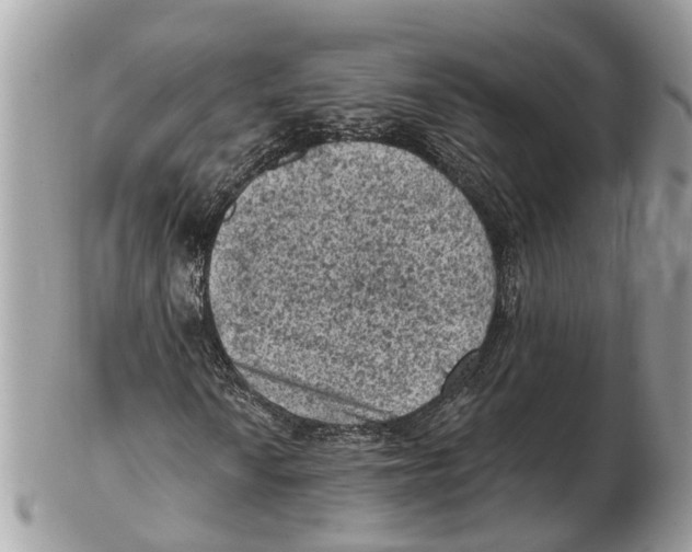 X0000102461010200809051305