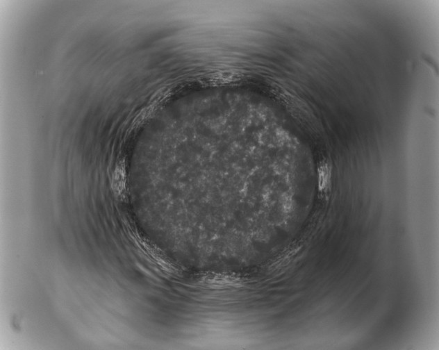 X0000102461011200809051305
