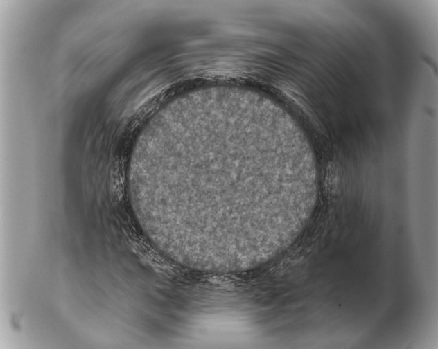 X0000102461015200809051305