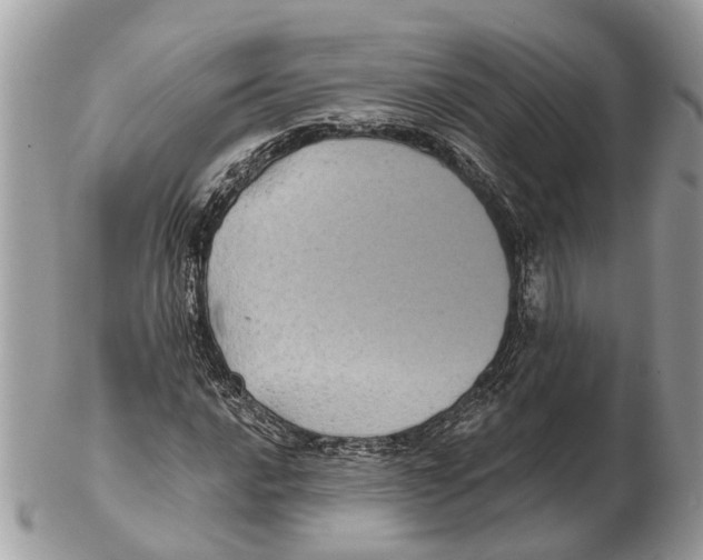 X0000102461016200809051305
