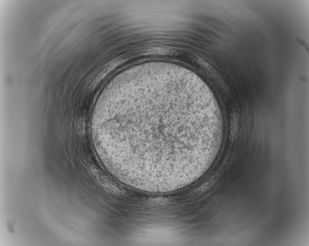 X0000102461017200809051305