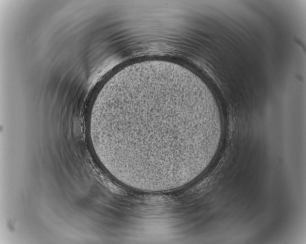 X0000102461018200809051305