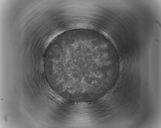 X0000102461019200809051305