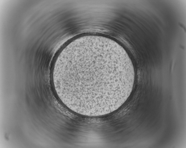 X0000102461020200809051305