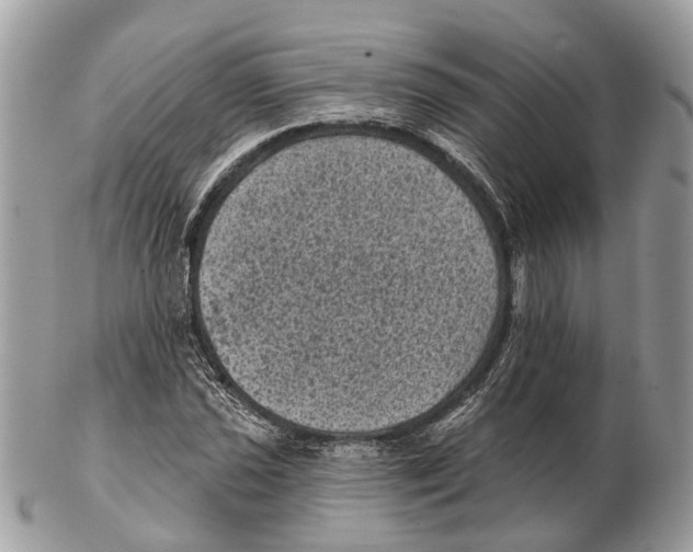 X0000102461021200809051305
