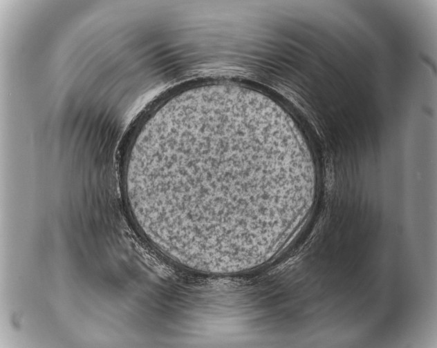 X0000102461022200809051305