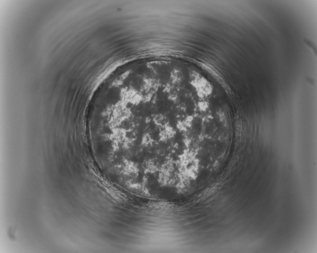 X0000102461023200809051305
