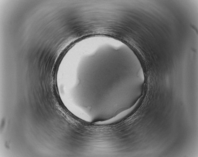 X0000102461024200809051305