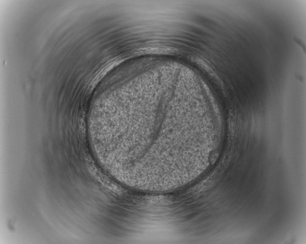 X0000102461025200809051305