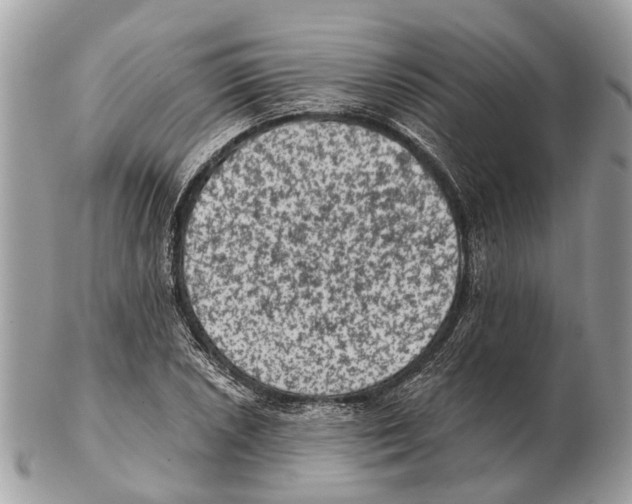 X0000102461026200809051305