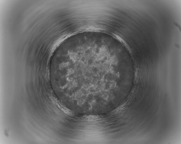 X0000102461027200809051305
