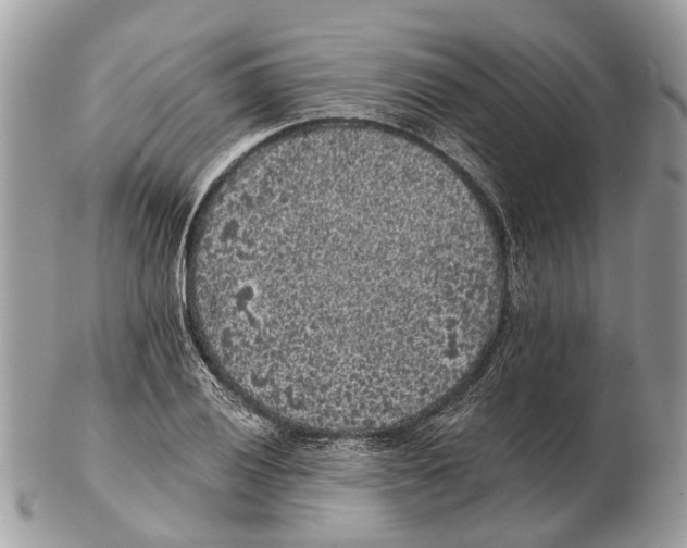 X0000102461028200809051305