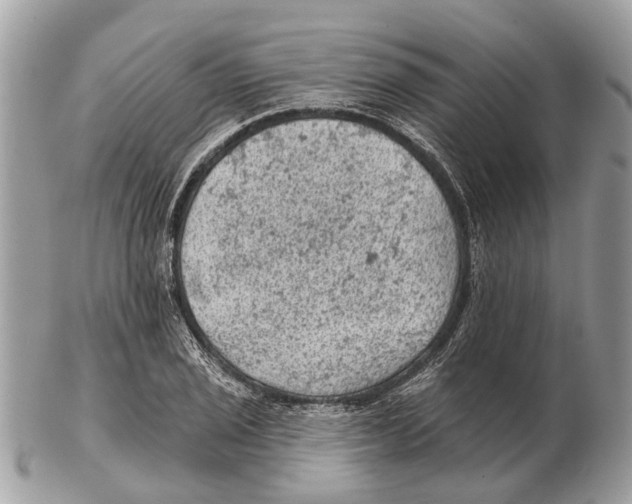 X0000102461029200809051305